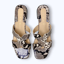 Load image into Gallery viewer, Sozo Flat
