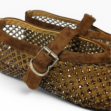 Load image into Gallery viewer, Amaryllis Crystal Mesh Mary Janes

